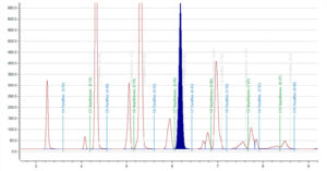 Example of separation for the saturated cyclic and paraffinic <br class="d-none d-lg-block">hydrocarbons by carbon number. Image Credit: PAC L.P