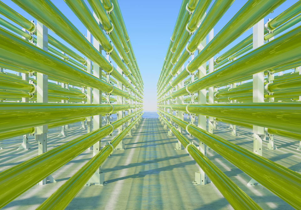 Bio algae tubes for generating renewable fuels.