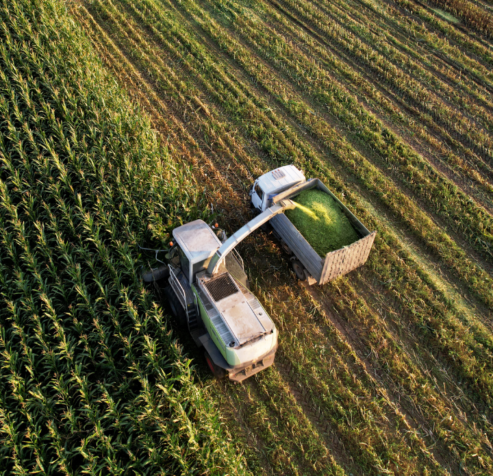 Aerial view of a harvester cutting a lush green cornfield, depositing the crop into an adjacent trailer for feedstock management and renewable fuels testing. Rows of corn create a geometric pattern.
